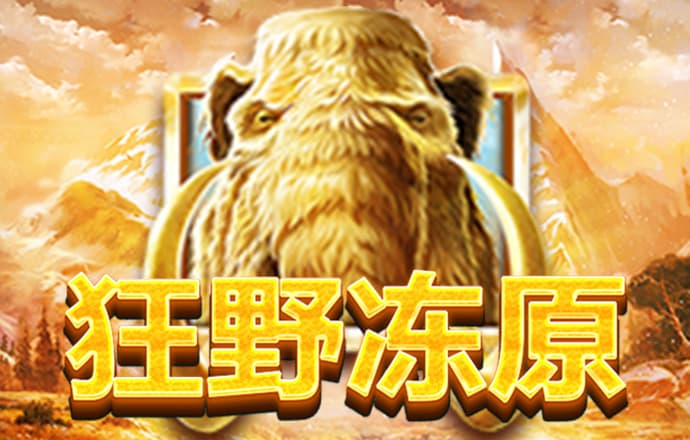 4949澳门免费资料大全红年